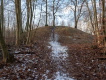 Humlegaardshøi