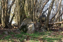 Leerbjerg Langdysse