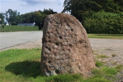 Daltoftegård Helleristningssten
