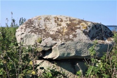 Bogø Langdysse 1
