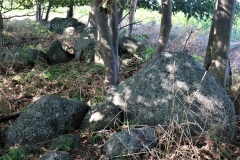 Bogø Langdysse 3