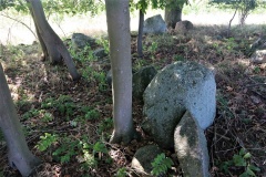 Bogø Langdysse 3