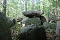 Hamborg Skov Langdysse 1