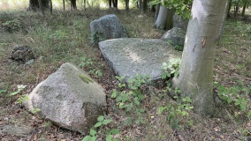 Fiskebæk Skov Runddysse 2 - PID:264785