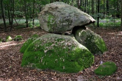 Hamborg Skov Runddysse