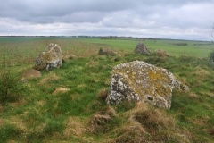 Skjellerup Runddysse