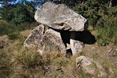 Ålsrode Runddysse