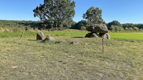 Halskov Runddysse