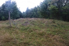 Stenvad Hede Runddysse