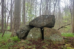 Dyreborg Skov Runddysse