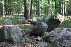 Knudsby Skov Langdysse 1