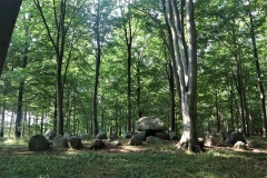 Knudsby Skov Langdysse 1