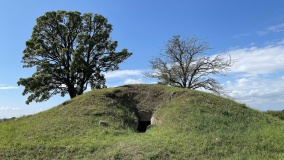 Damsholte Jættestue - PID:264543