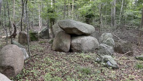 Hamborg Skov Langdysse 1