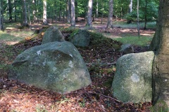 Oreby Fredskov Runddysse