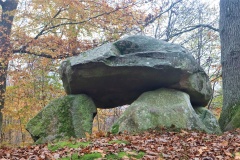 Grevinge Skov Runddysse 2