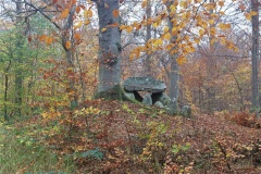 Grevinge Skov Runddysse 2