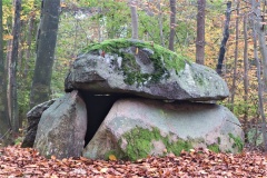 Grevinge Skov Runddysse 3