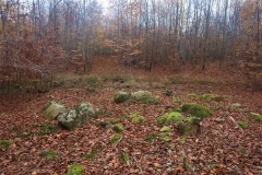 Grevinge Stensætning
