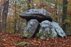 Grevinge Skov Runddysse 1