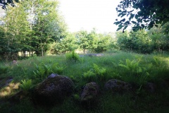 Lindeskov Hestehave Runddysse