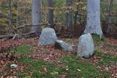 Grevinge Skov Megalitgrav