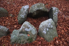 Odstrupdyssen Runddysse