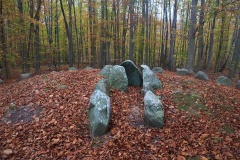 Odstrupdyssen Runddysse