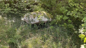 Enderupskov Dyssekammer - PID:264152
