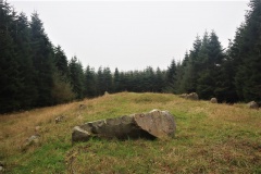 Snave Skov Ringelshøj Langdysse