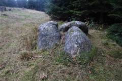 Snave Skov Ringelshøj Langdysse