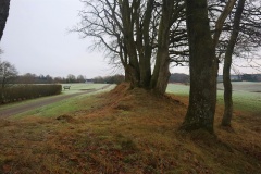 Slagballe (Bryrup) Langhøj