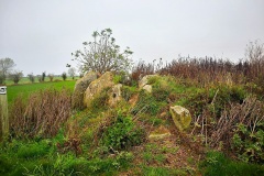 Renehuse Langdysse