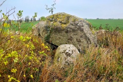 Renehuse Langdysse