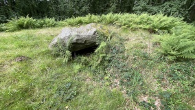 Havrekobbel Langdysse 2