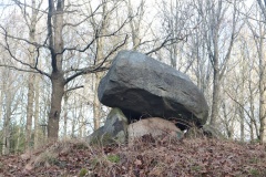 Store Møsten Skov Runddysse