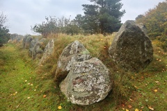 Tolne Langdysse
