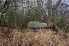 Risbjerg Langdysse 1