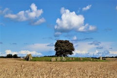 Busemarke Langdysse