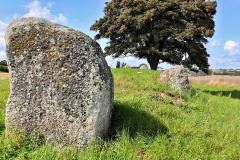 Busemarke Langdysse