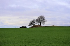 Haarbølle Rundhøj