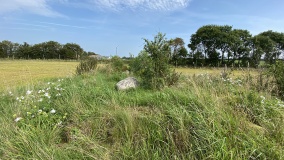 Ulstrup Hede Runddysse