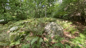 Ringelmose Skov Runddysse 2