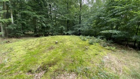 Ringelmose Skov Rundhøj 7