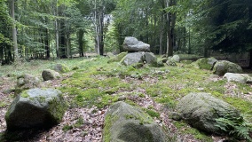 Ringelmose Skov Langdysse 2
