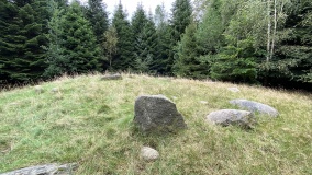 Ringelmose Skov Langdysse 5