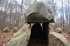 Frejlev Skov Runddysse 4