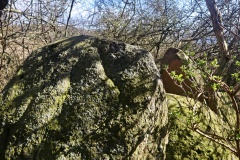 Horne Runddysse 2