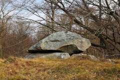 Stokkebjerg Skov Langdysse