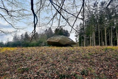 Stokkebjerg Skov Langdysse